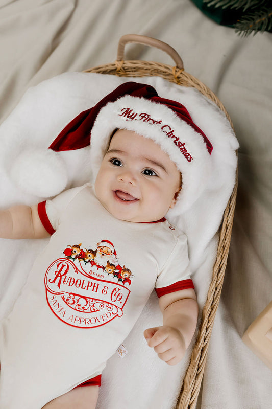 Luxe Embroidered Family Santa Hat