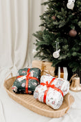 Load image into Gallery viewer, Luxe Mink Blanket - Magical Moments
