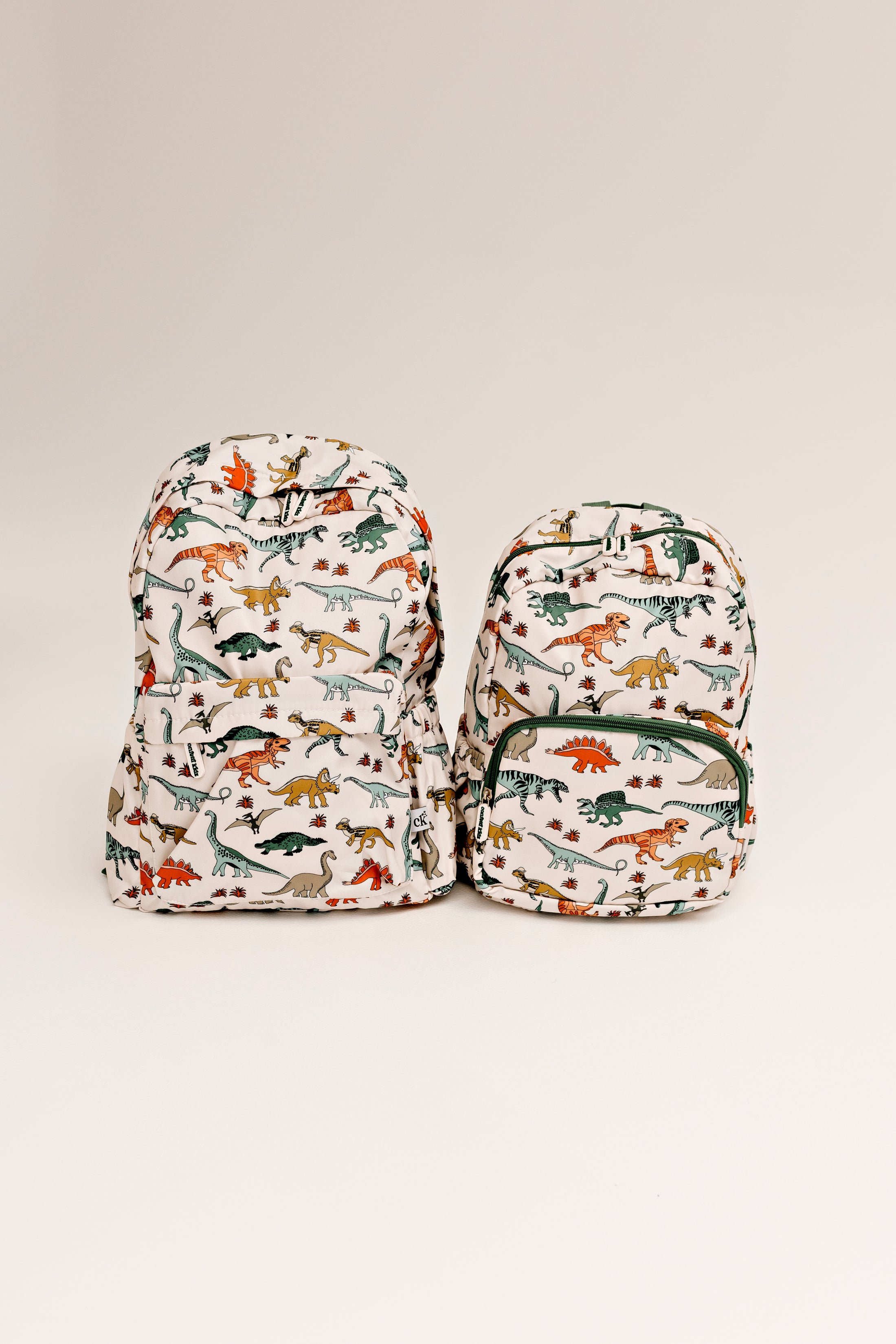Dino Land - Early Years Backpack