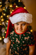 Load image into Gallery viewer, Luxe Embroidered Family Santa Hat
