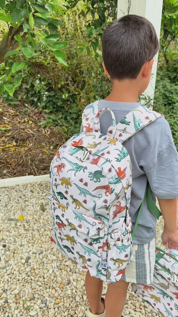 Dino Land - Insulated Lunch Bag